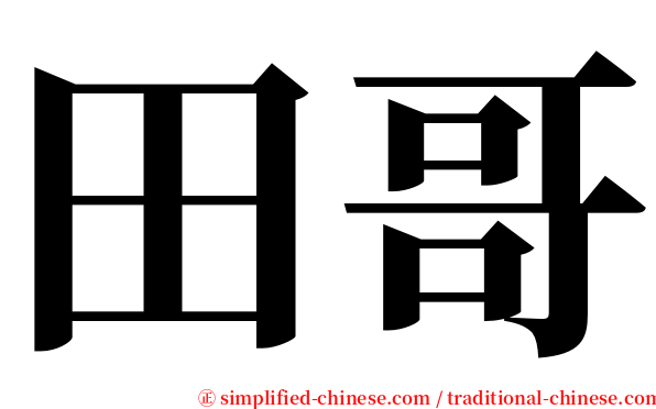 田哥 serif font