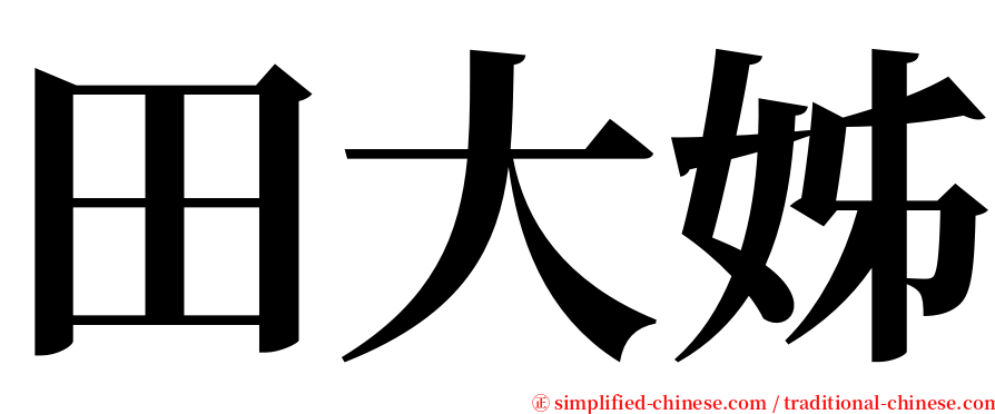 田大姊 serif font