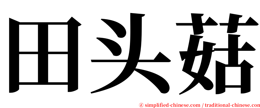 田头菇 serif font