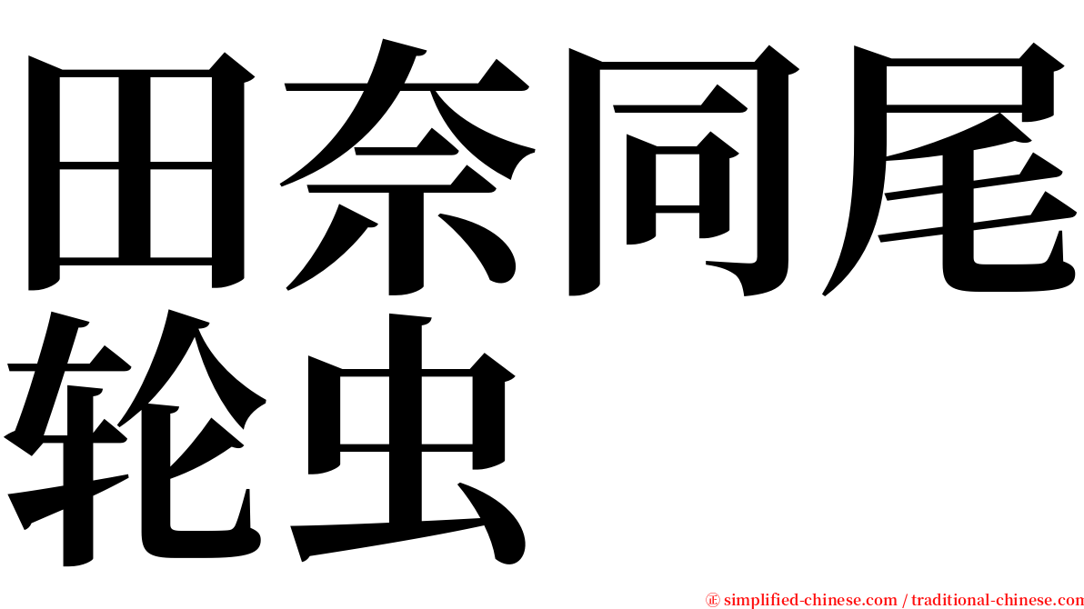 田奈同尾轮虫 serif font