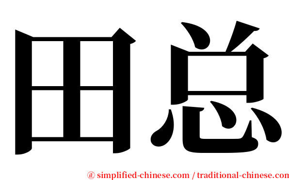 田总 serif font