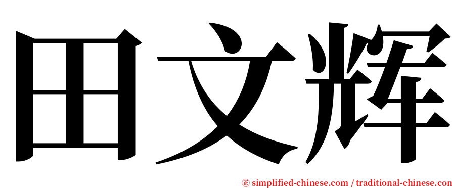 田文辉 serif font