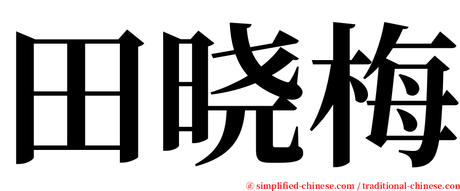 田晓梅 serif font