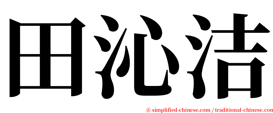 田沁洁 serif font