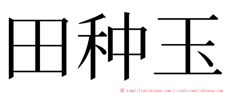 田种玉 ming font