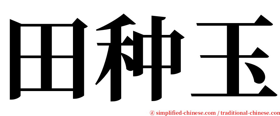田种玉 serif font