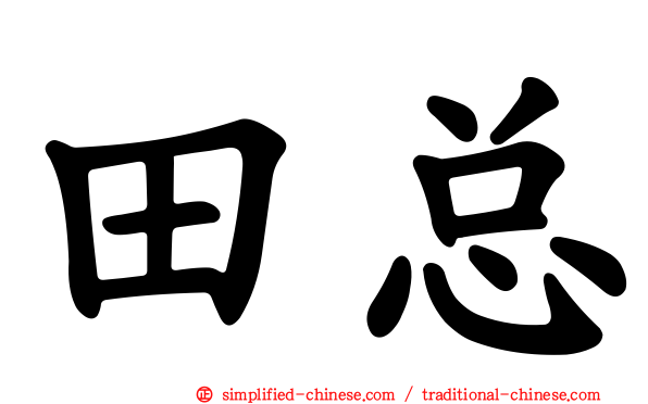 田总
