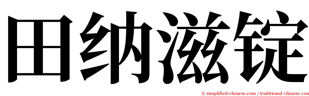 田纳滋锭 serif font