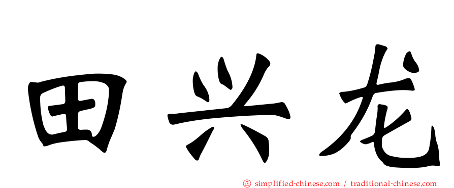 田兴龙