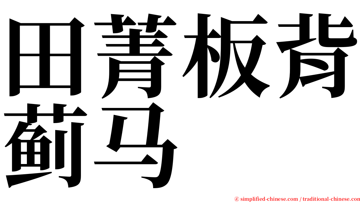 田菁板背蓟马 serif font