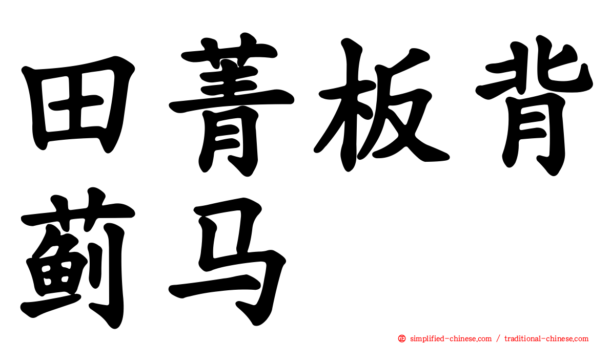 田菁板背蓟马