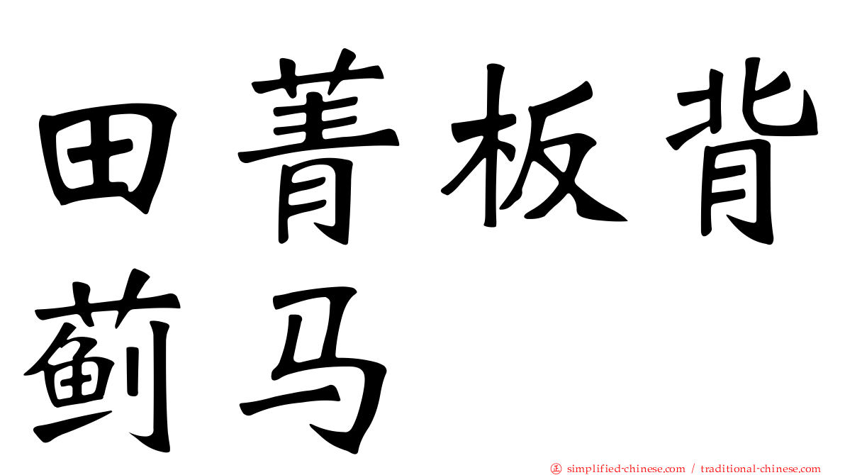田菁板背蓟马