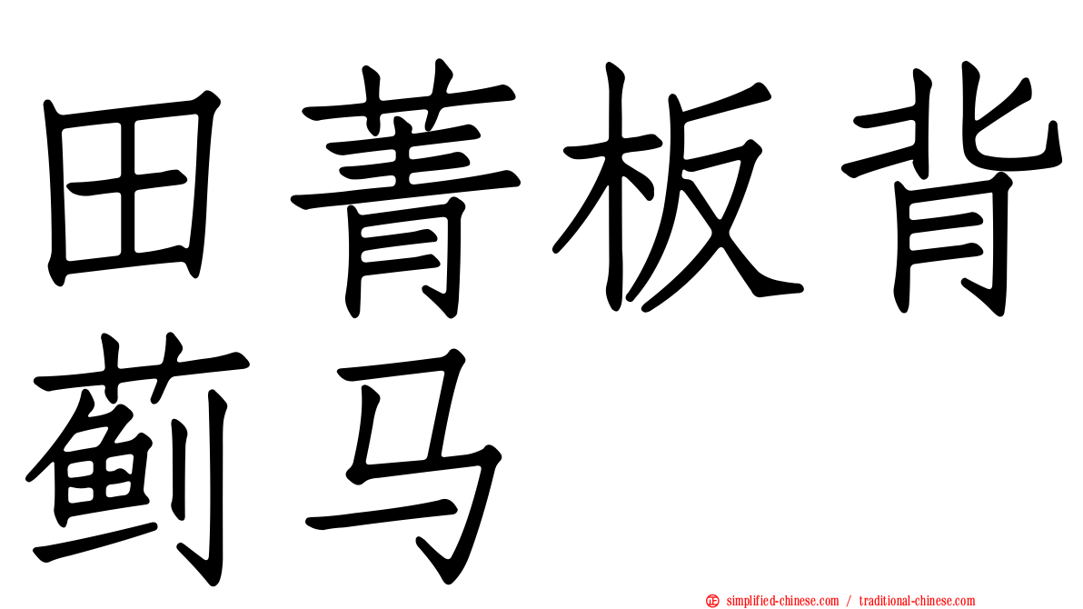 田菁板背蓟马