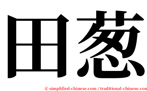 田葱 serif font