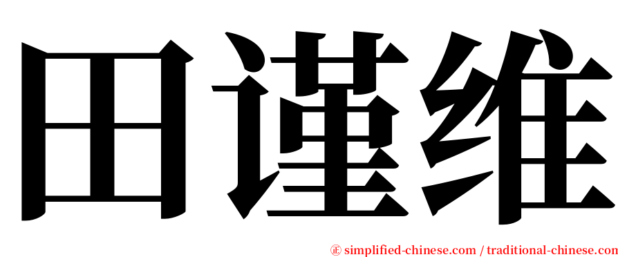 田谨维 serif font