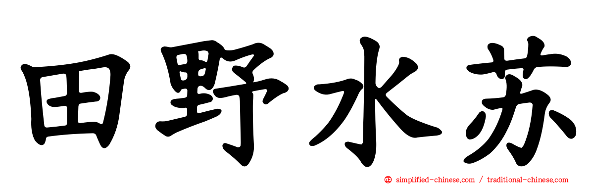 田野水苏