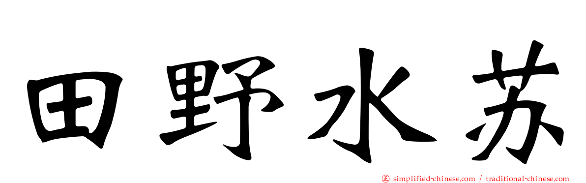 田野水苏