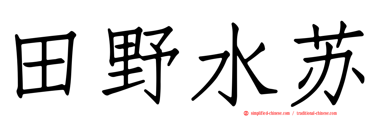 田野水苏