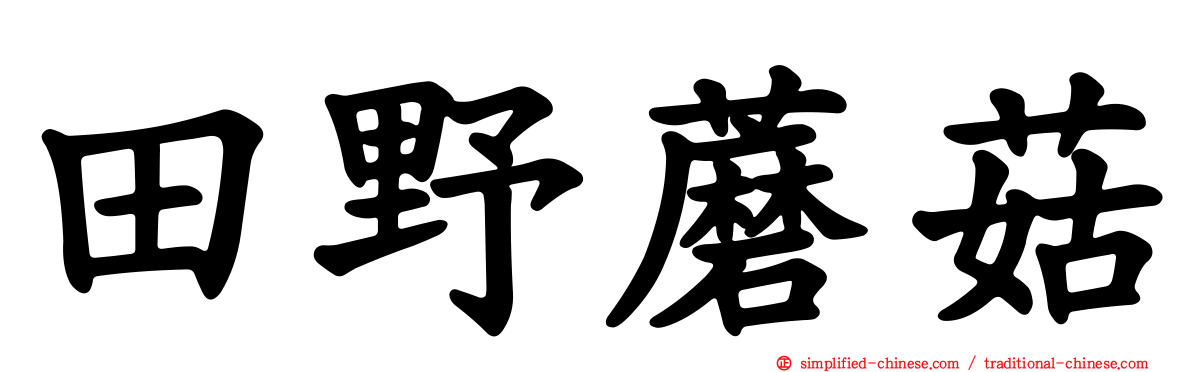 田野蘑菇