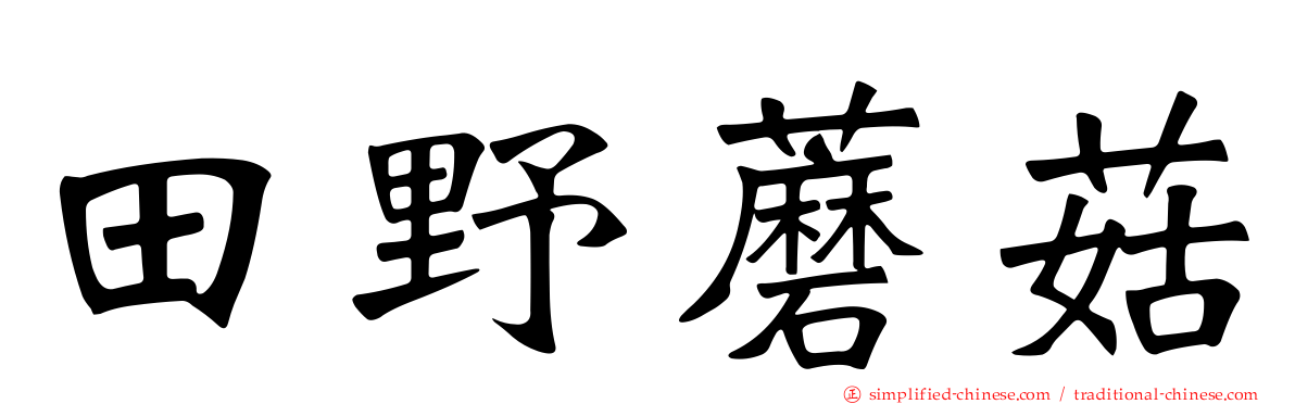 田野蘑菇
