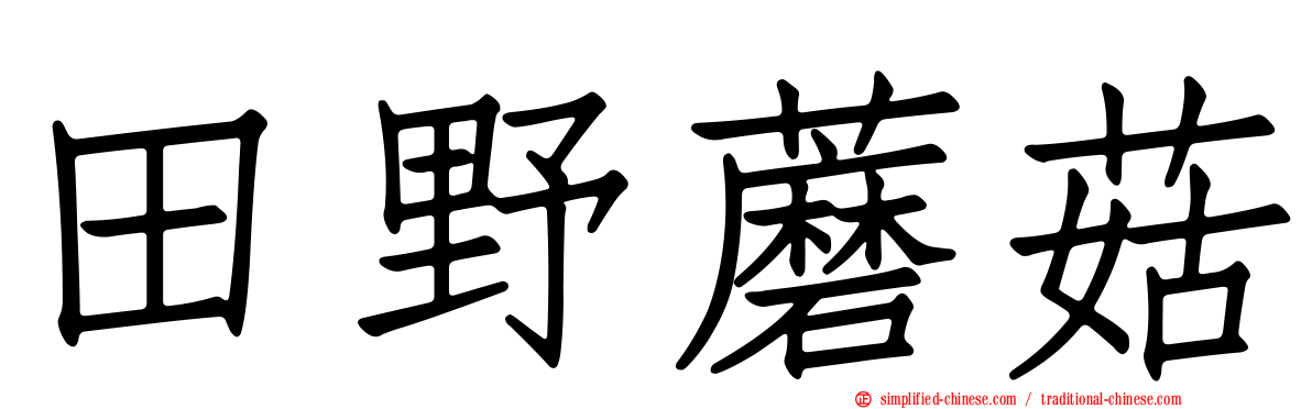 田野蘑菇