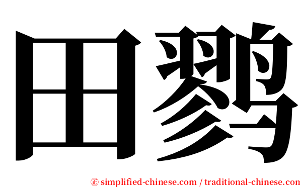 田鹨 serif font