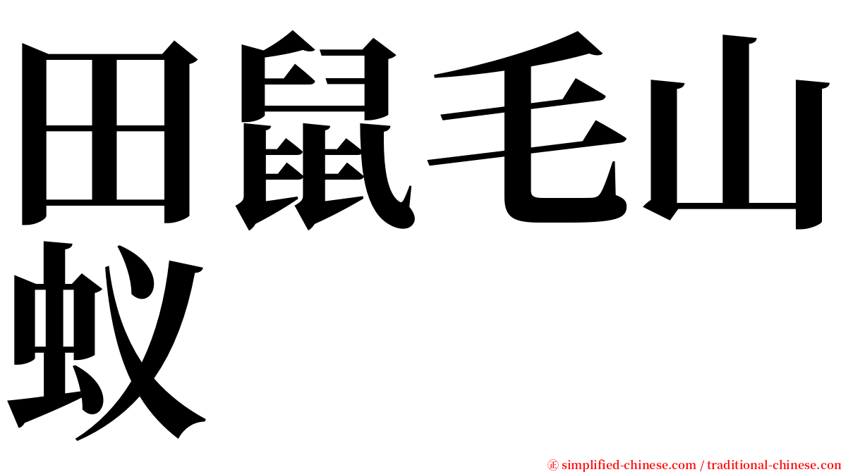 田鼠毛山蚁 serif font