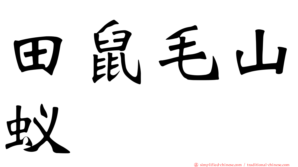 田鼠毛山蚁