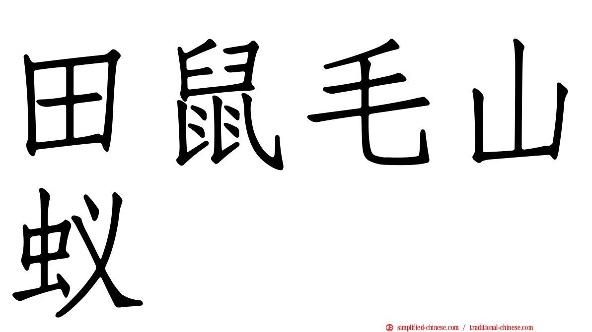 田鼠毛山蚁