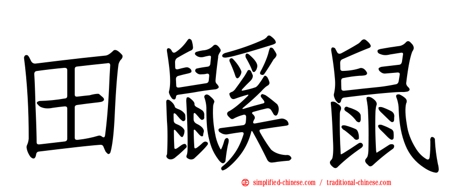 田鼷鼠