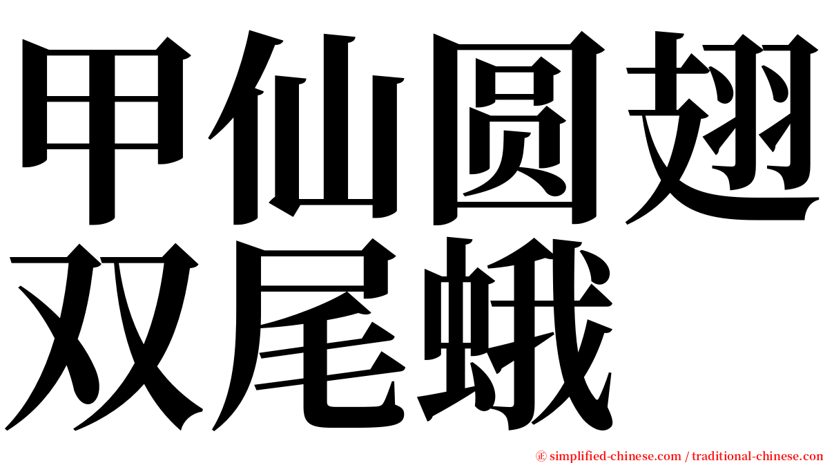 甲仙圆翅双尾蛾 serif font
