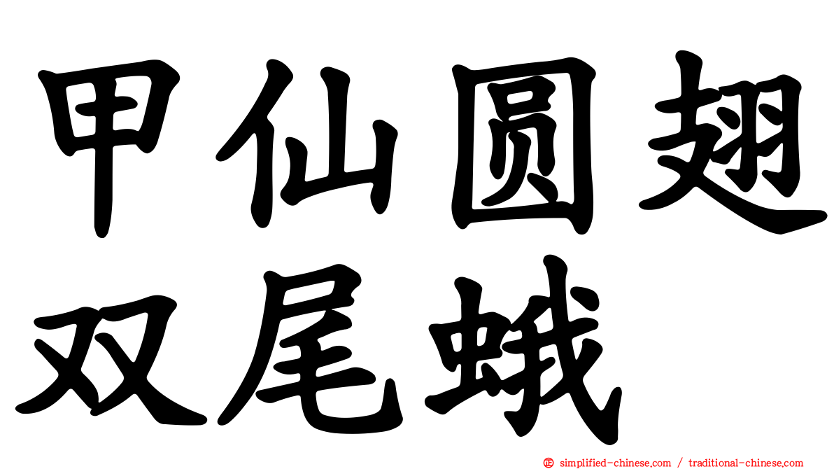 甲仙圆翅双尾蛾