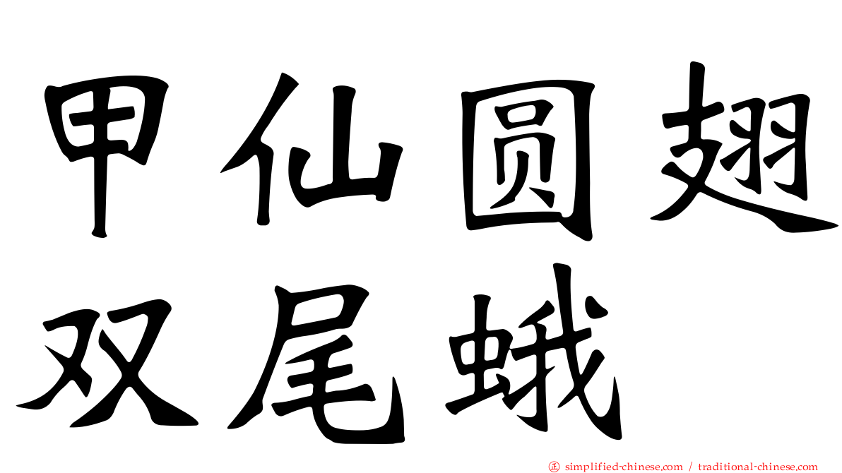 甲仙圆翅双尾蛾