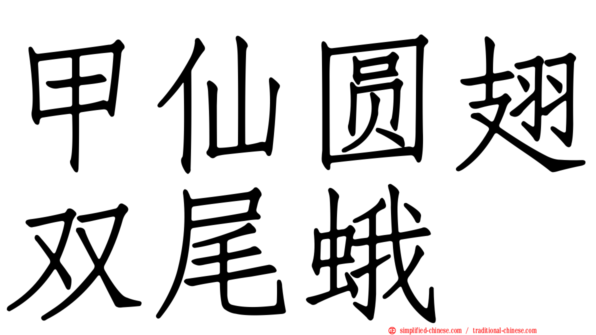 甲仙圆翅双尾蛾