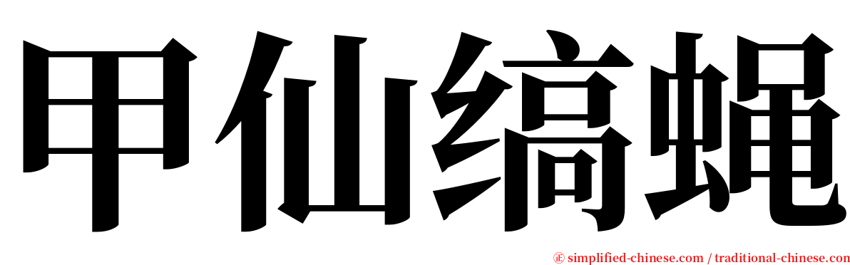 甲仙缟蝇 serif font