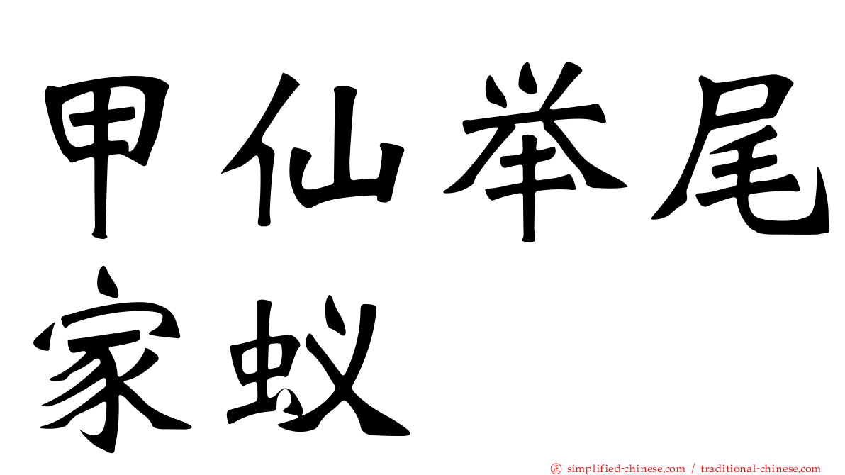 甲仙举尾家蚁