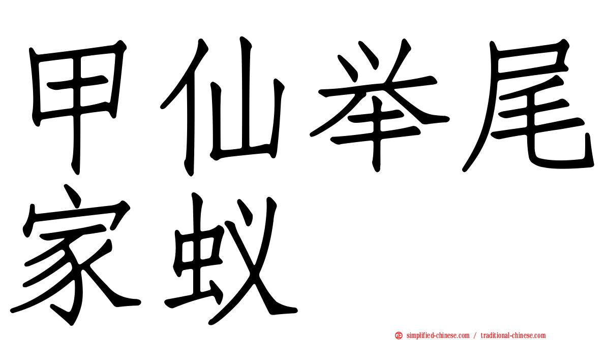 甲仙举尾家蚁