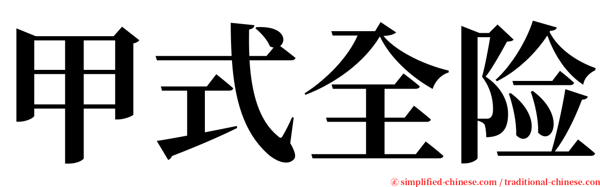 甲式全险 serif font
