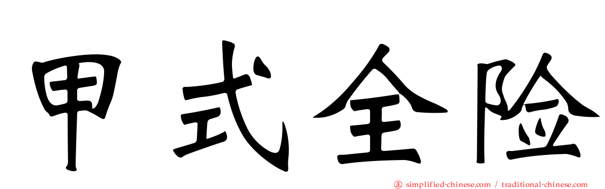 甲式全险