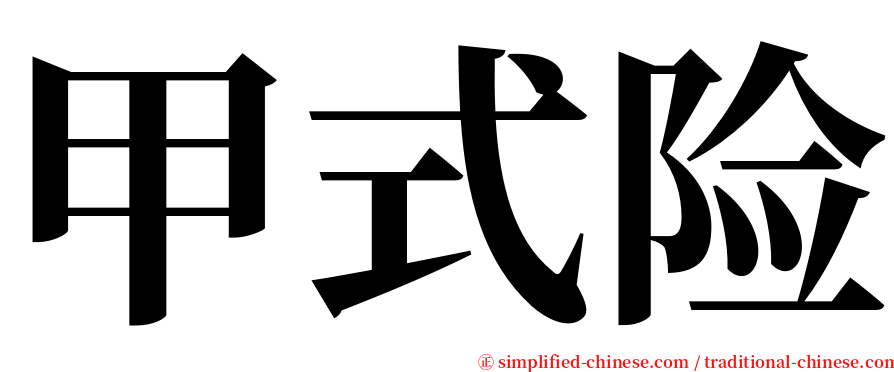 甲式险 serif font