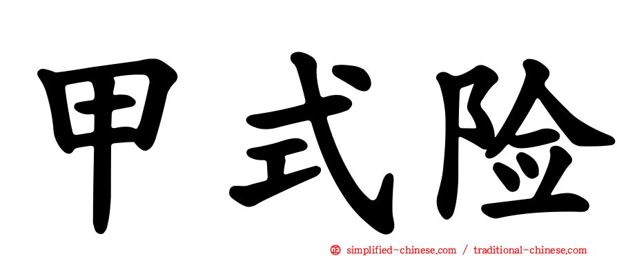 甲式险