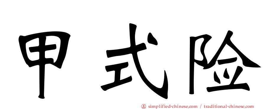 甲式险