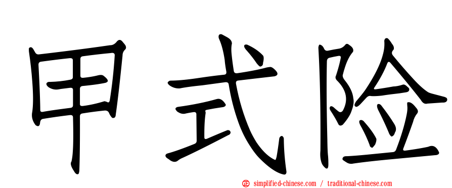 甲式险