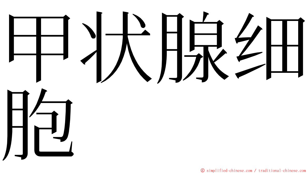 甲状腺细胞 ming font