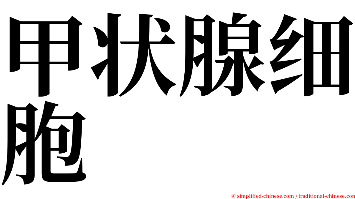 甲状腺细胞 serif font