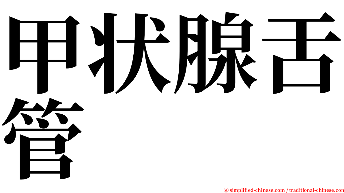 甲状腺舌管 serif font