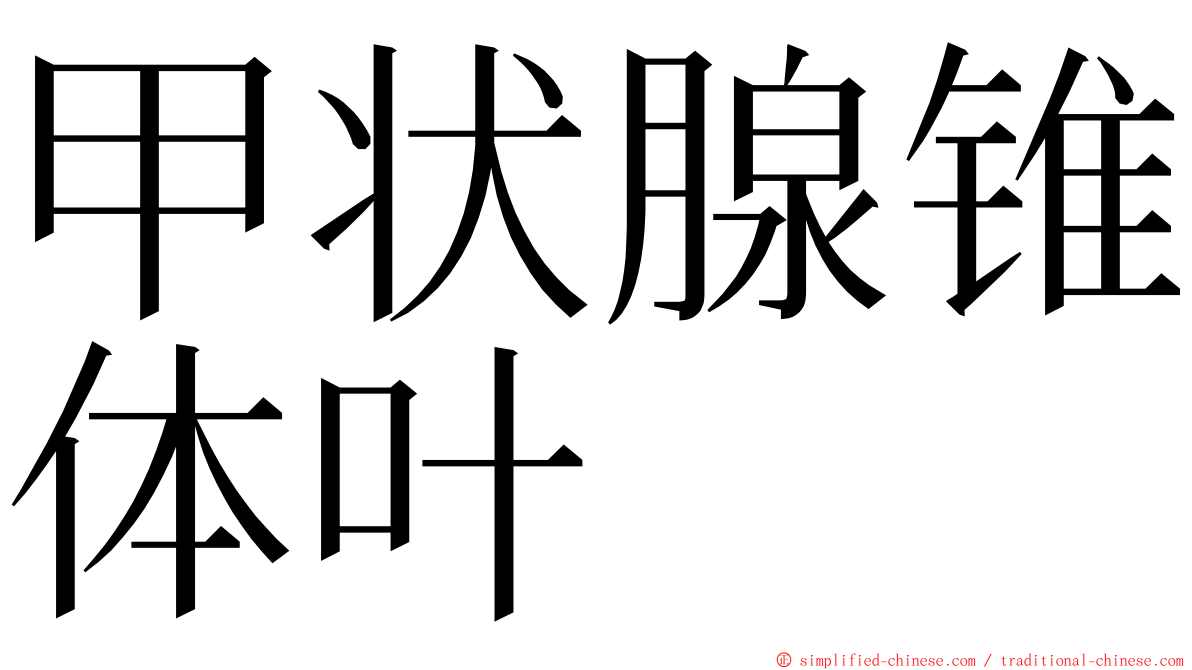 甲状腺锥体叶 ming font
