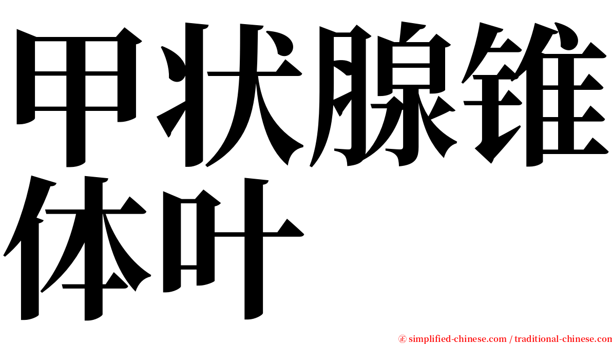 甲状腺锥体叶 serif font