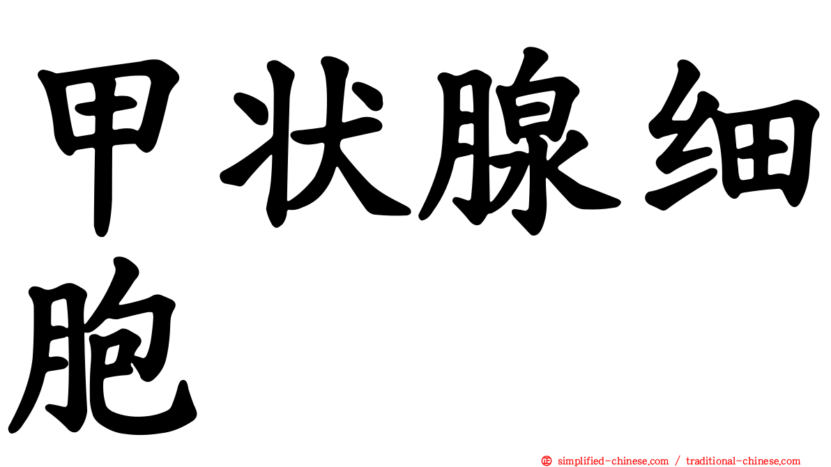 甲状腺细胞