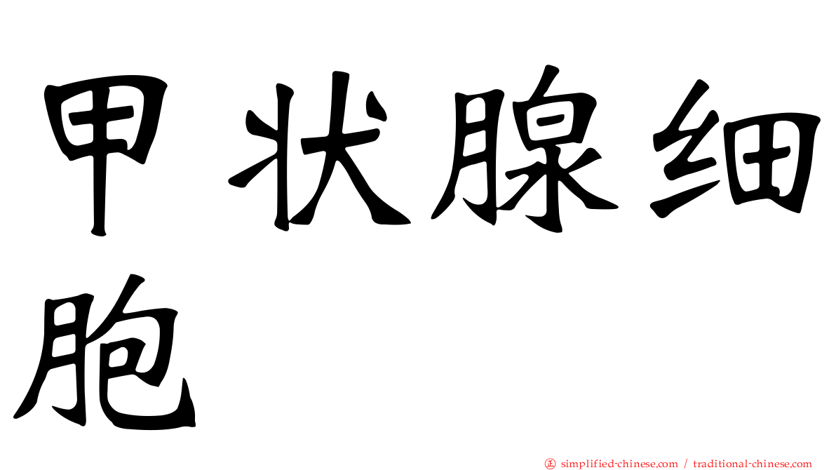 甲状腺细胞